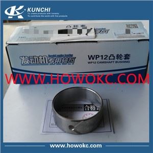 سینوتروک HOWO بوش میل بادامک WP12 61560010029 612630010075